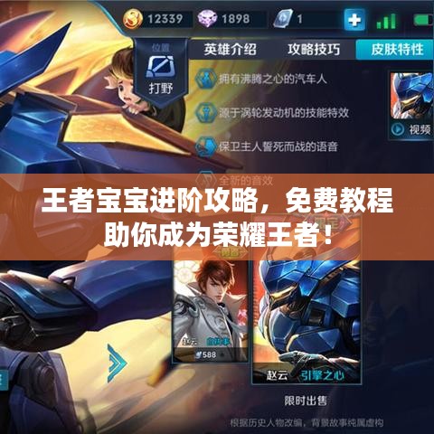 王者寶寶進(jìn)階攻略，免費(fèi)教程助你成為榮耀王者！