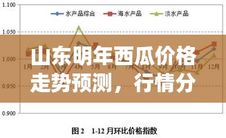 山東明年西瓜價(jià)格走勢預(yù)測，行情分析與展望