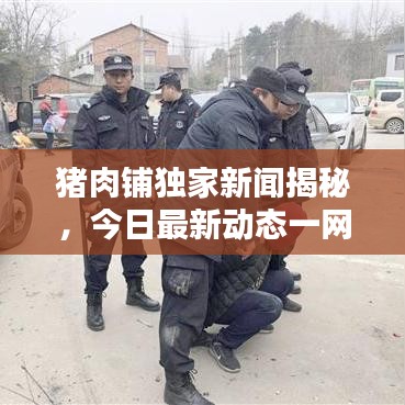 豬肉鋪獨(dú)家新聞揭秘，今日最新動態(tài)一網(wǎng)打盡