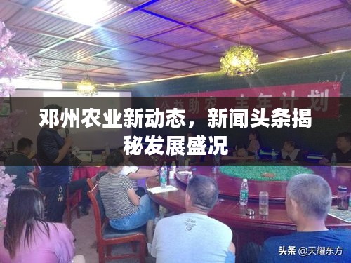 鄧州農(nóng)業(yè)新動態(tài)，新聞頭條揭秘發(fā)展盛況