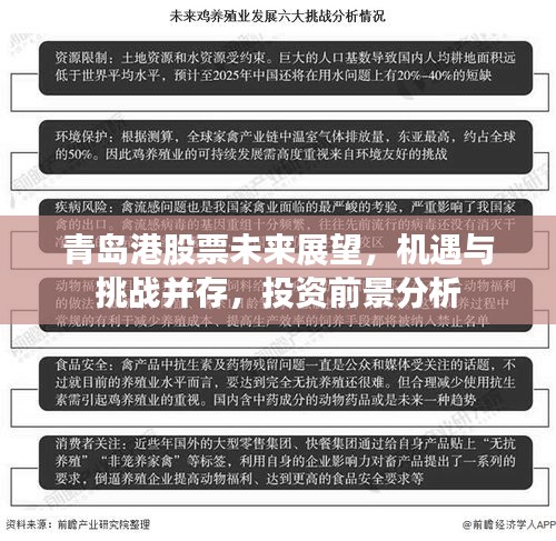 青島港股票未來展望，機(jī)遇與挑戰(zhàn)并存，投資前景分析