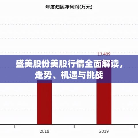 盛美股份美股行情全面解讀，走勢(shì)、機(jī)遇與挑戰(zhàn)