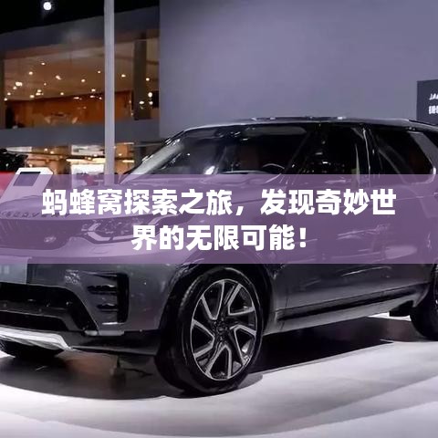 螞蜂窩探索之旅，發(fā)現(xiàn)奇妙世界的無限可能！