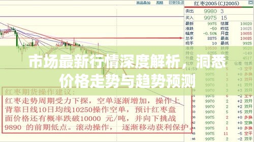 市場最新行情深度解析，洞悉價格走勢與趨勢預(yù)測
