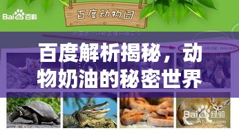 百度解析揭秘，動物奶油的秘密世界！