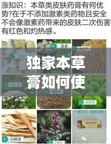 獨(dú)家本草膏如何使用，獨(dú)家本草膏有副作用嗎 