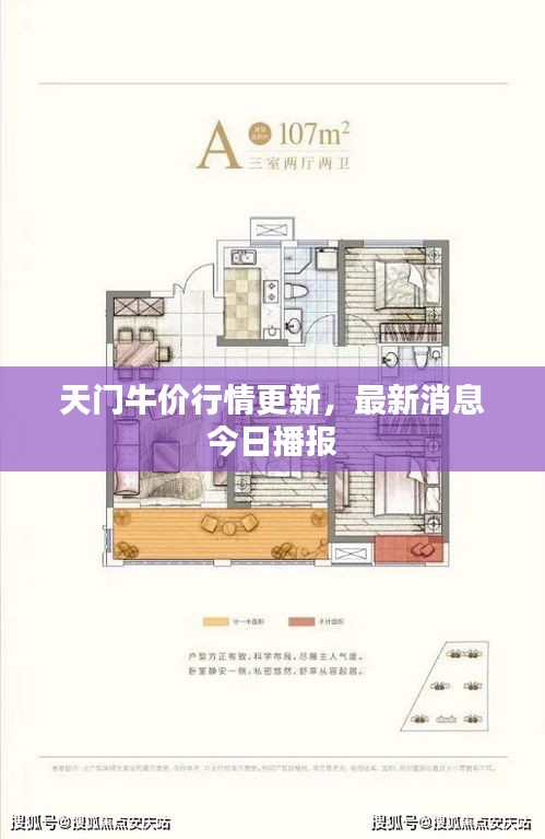 天門牛價行情更新，最新消息今日播報