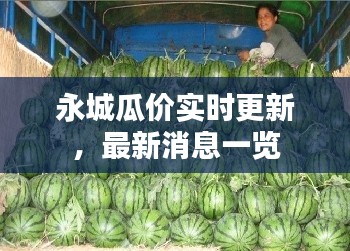 永城瓜價實時更新，最新消息一覽