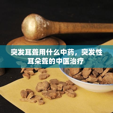 突發(fā)耳聾用什么中藥，突發(fā)性耳朵聾的中醫(yī)治療 