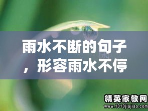 雨水不斷的句子，形容雨水不停的四字詞語(yǔ) 