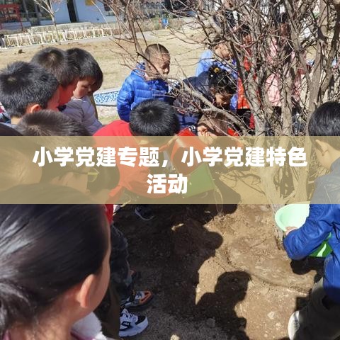 小學黨建專題，小學黨建特色活動 