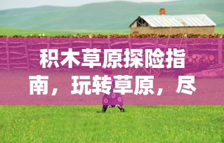 積木草原探險指南，玩轉草原，盡享樂趣！