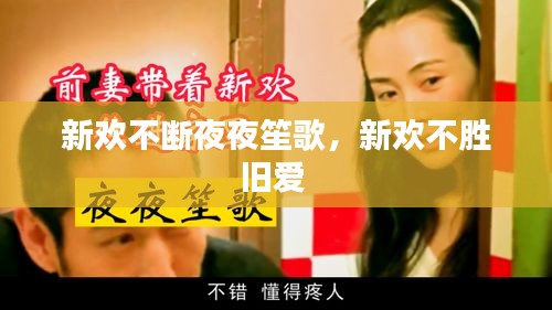 新歡不斷夜夜笙歌，新歡不勝舊愛 