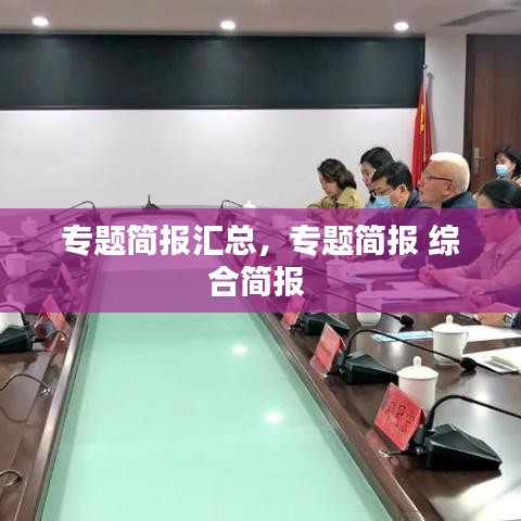 專題簡報匯總，專題簡報 綜合簡報 