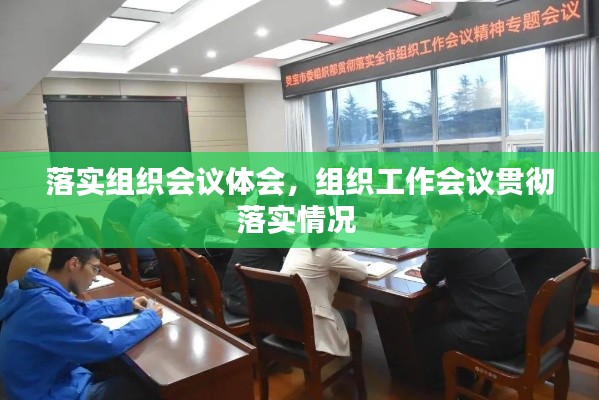 落實(shí)組織會(huì)議體會(huì)，組織工作會(huì)議貫徹落實(shí)情況 