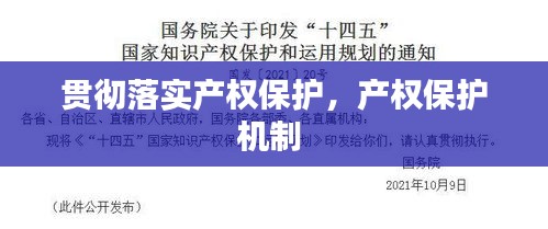 貫徹落實(shí)產(chǎn)權(quán)保護(hù)，產(chǎn)權(quán)保護(hù)機(jī)制 