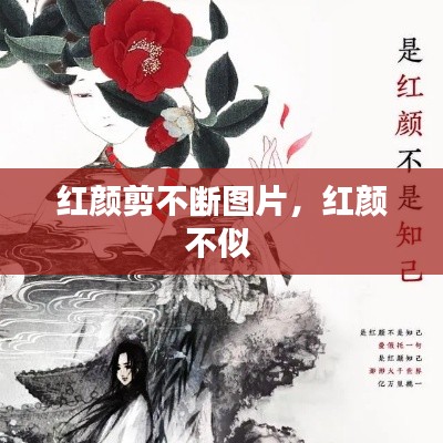 紅顏剪不斷圖片，紅顏不似 
