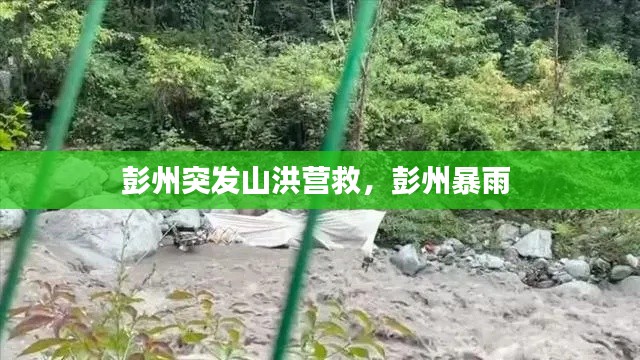 彭州突發(fā)山洪營救，彭州暴雨 