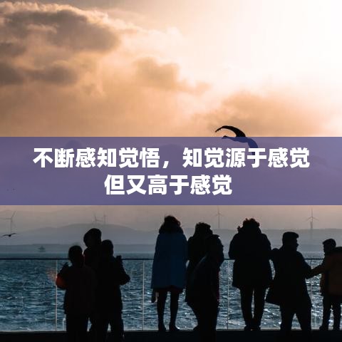 不斷感知覺悟，知覺源于感覺但又高于感覺 