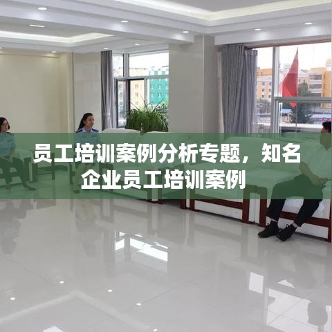 員工培訓(xùn)案例分析專題，知名企業(yè)員工培訓(xùn)案例 
