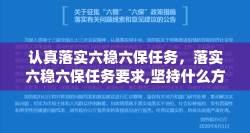 認真落實六穩(wěn)六保任務，落實六穩(wěn)六保任務要求,堅持什么方針 
