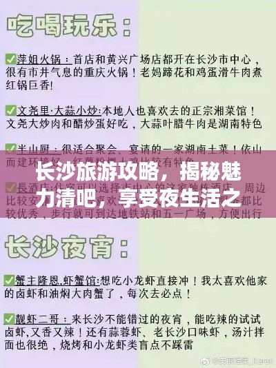 長沙旅游攻略，揭秘魅力清吧，享受夜生活之旅！