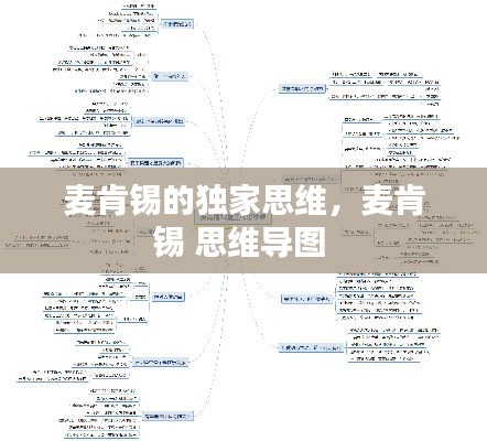 麥肯錫的獨家思維，麥肯錫 思維導(dǎo)圖 