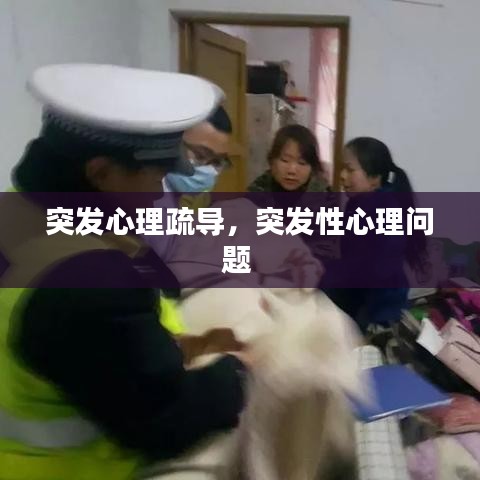 突發(fā)心理疏導(dǎo)，突發(fā)性心理問題 