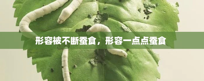 形容被不斷蠶食，形容一點點蠶食 