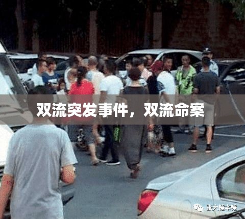 雙流突發(fā)事件，雙流命案 