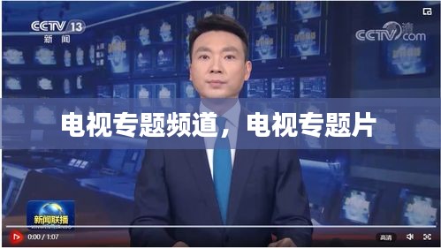 電視專題頻道，電視專題片 