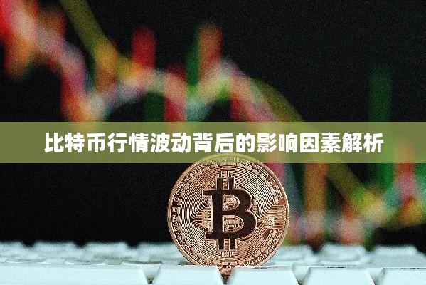 比特幣行情波動背后的影響因素解析