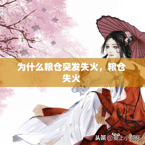 為什么糧倉突發(fā)失火，糧倉 失火 