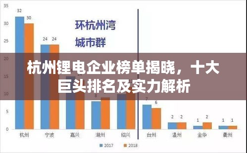 杭州鋰電企業(yè)榜單揭曉，十大巨頭排名及實(shí)力解析