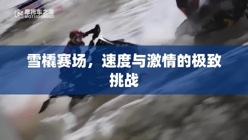 雪橇賽場(chǎng)，速度與激情的極致挑戰(zhàn)