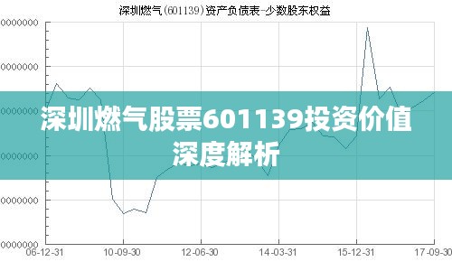 深圳燃?xì)夤善?01139投資價(jià)值深度解析