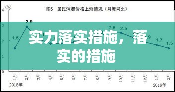 實力落實措施，落實的措施 