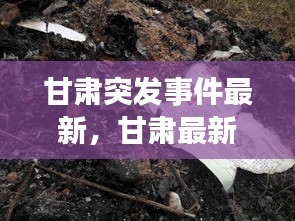 甘肅突發(fā)事件最新，甘肅最新事件8死 
