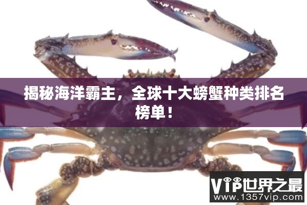 揭秘海洋霸主，全球十大螃蟹種類排名榜單！