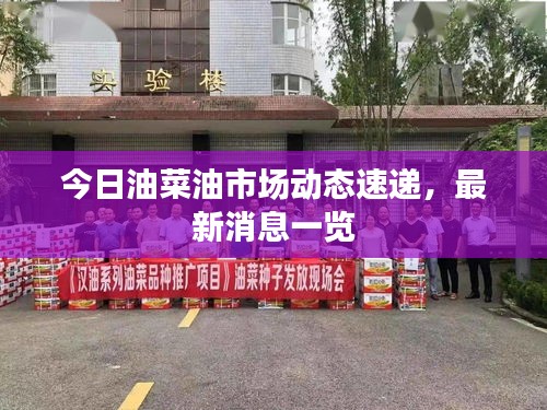 今日油菜油市場動態(tài)速遞，最新消息一覽