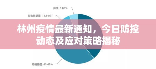 林州疫情最新通知，今日防控動態(tài)及應(yīng)對策略揭秘