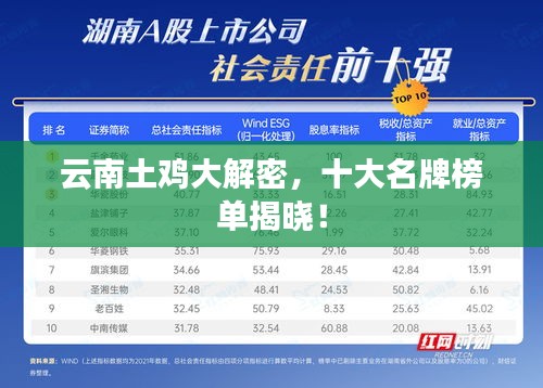 云南土雞大解密，十大名牌榜單揭曉！