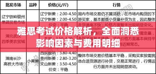 雅思考試價(jià)格解析，全面洞悉影響因素與費(fèi)用明細(xì)
