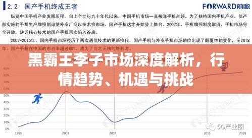 黑霸王李子市場(chǎng)深度解析，行情趨勢(shì)、機(jī)遇與挑戰(zhàn)