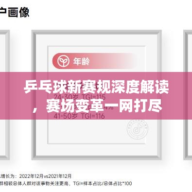 乒乓球新賽規(guī)深度解讀，賽場變革一網(wǎng)打盡