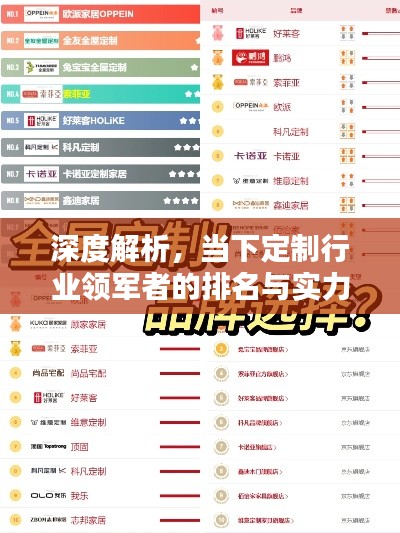深度解析，當(dāng)下定制行業(yè)領(lǐng)軍者的排名與實(shí)力比拼！