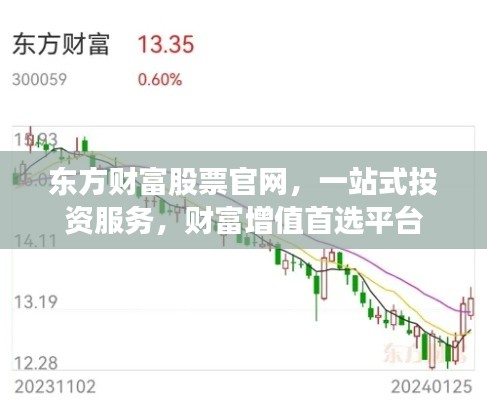東方財(cái)富股票官網(wǎng)，一站式投資服務(wù)，財(cái)富增值首選平臺(tái)