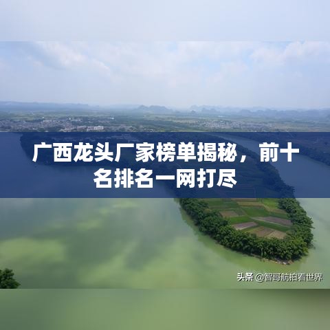 廣西龍頭廠家榜單揭秘，前十名排名一網(wǎng)打盡