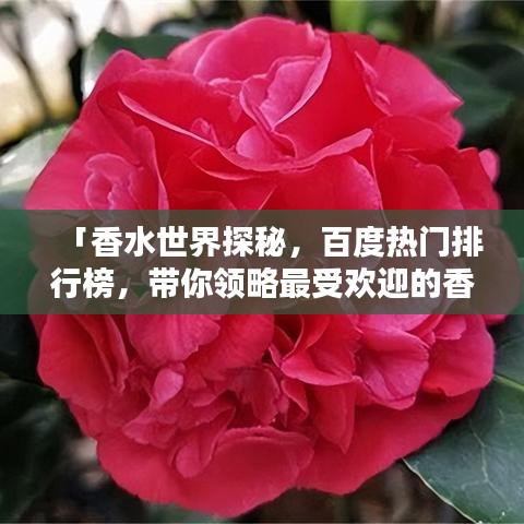 「香水世界探秘，百度熱門排行榜，帶你領略最受歡迎的香水香氣」