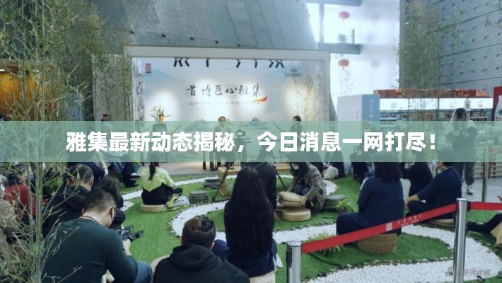 雅集最新動態(tài)揭秘，今日消息一網(wǎng)打盡！